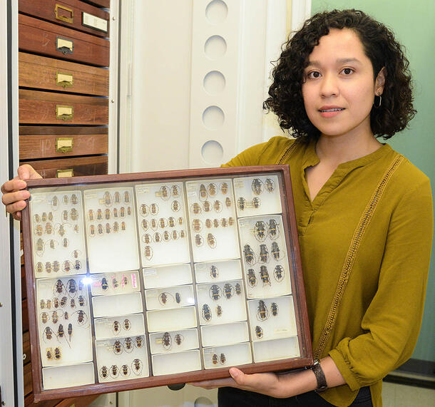 Nayeli Gutiérrez Trejo stands next to a column of shelves containing collections, and holds a wooden frame containing small boxes of insect specimens.