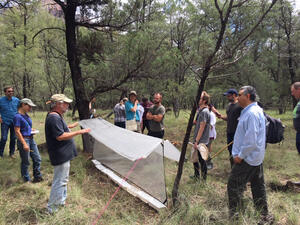 12 researchers work together to install a screen in a wooded area.