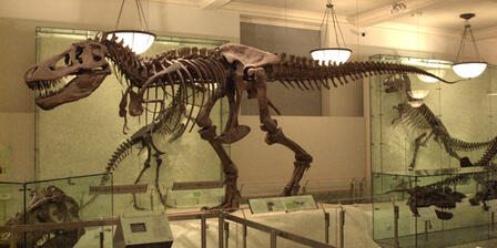 American Museum Of Natural History Planetarium Tickets American Museum Of Natural History Planetarium Tickets