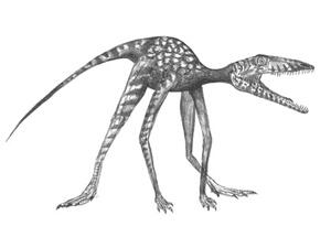 A drawing of a reptilian dinosaur-like animal standing on four long thin limbs, claws, a long tail, and an open crocodile-like mouth.