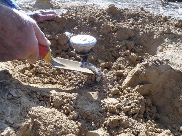 Digging out the cast of a scorpion burrow