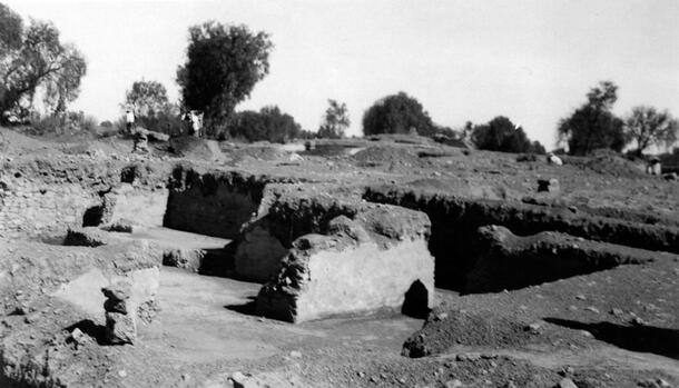 A excavation site on flat dry terrain with partially exposed walls. The photo caption states: "South house looking northwest." In the background are low scrubby trees.