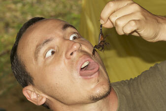 A photo of a man comically dangling a scorpion by its tail above his open mouth.