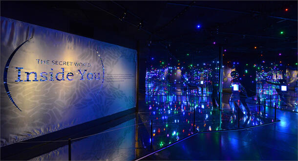 light-filled display of "The Secret World Inside You" exhibit