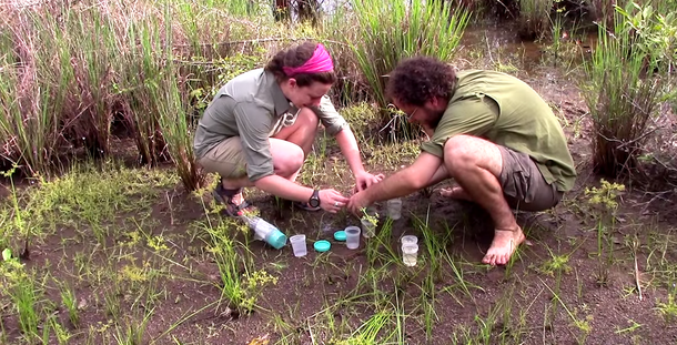 Two researchers crouch on the ground while collecting leeches in Cambodian forest.