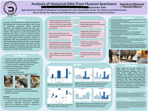 Research poster titled "Analysis of Historical DNA from Museum Specimens." 