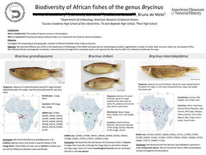 Research poster titled "Biodiversity of African fishes of the genus Brycinus."