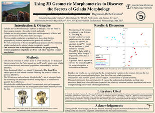 Research poster titled "Using 3D Geometric Morphometrics to Discover the Secrets of Gelada Morphology."