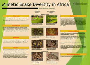 Research poster titled "Mimetic Snake Diversity in Africa." 