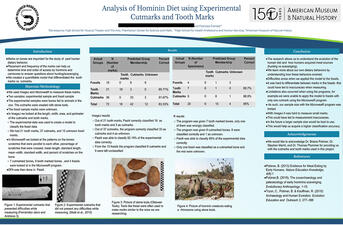Research poster titled "Analysis of Hominin Diet using Experimental Cutmarks and Tooth Marks." 