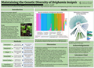 Research poster titled "Maintaining the Genetic Diversity of Brighamia insignis." 
