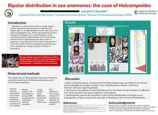 Research poster titled "Bipolar distribution in sea anemones: the case of Halcampoides." 