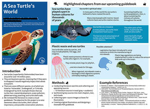 Research poster titled "A Sea Turtle's World."