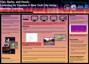 Research poster titled "Yips, Barks, and Howls: Listening for Coyotes in New York City Using Machine Learning." 