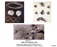 The Guasave site