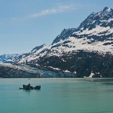 A sloping glacier beside open water.