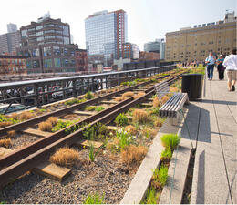 A raised walkway full of strolling people flanked by a railway with plants growing all around it and a bench.