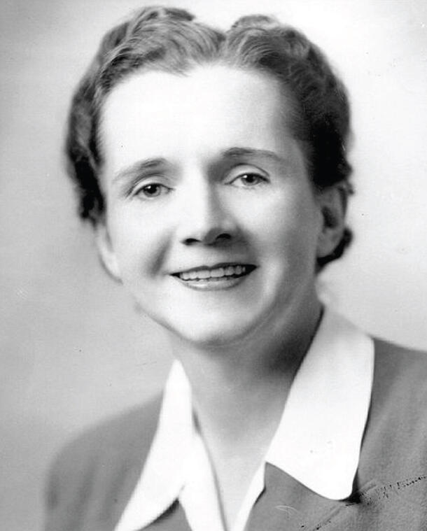 Headshot of writer and conservationist Rachel Carson. 