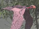 Pterosaurs: Adapted for Flight Thumbnail