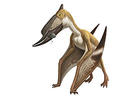 What Is A Pterosaur? Thumbnail