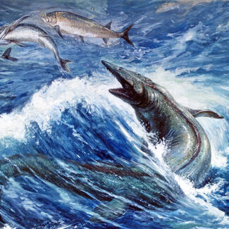 A Charles Knight painting of a mosasaur hunting two fish as it jumps out of the ocean waves.