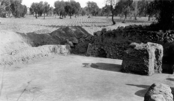 A wide flat excavation site with partially exposed low walls and a square structure in the interior area. The photo caption states: "West house looking north." In the background are scrubby trees dotting a field.