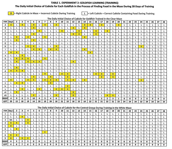 thesis statement for evaluative essay Your evaluation essay can only be fully-maximized if there is an organized discussion of your evaluation as well as the facts that can support your thesis statement here is an essay writing basic guide that you may follow when writing an evaluation essay:. thesis statement for evaluative essay Your evaluation essay can only be fully-maximized if there is an organized discussion of your evaluation as well as the facts that can support your thesis statement here is an essay writing basic guide that you may follow when writing an evaluation essay:.