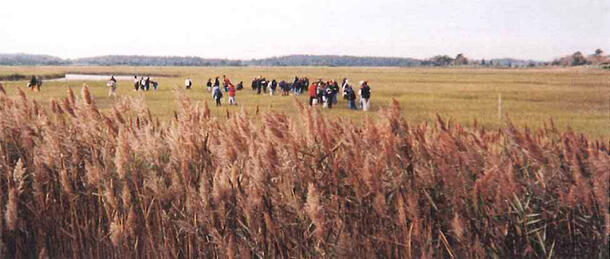 A large group of people dressed in warm clothes walking on a wide flat field of brown grass.