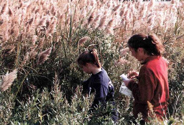 Two young women standing in a sea of tall, shoulder-high reeds. One is holding a small plastic collection bag