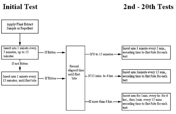 A flow chart showing the steps in the testing procedures.