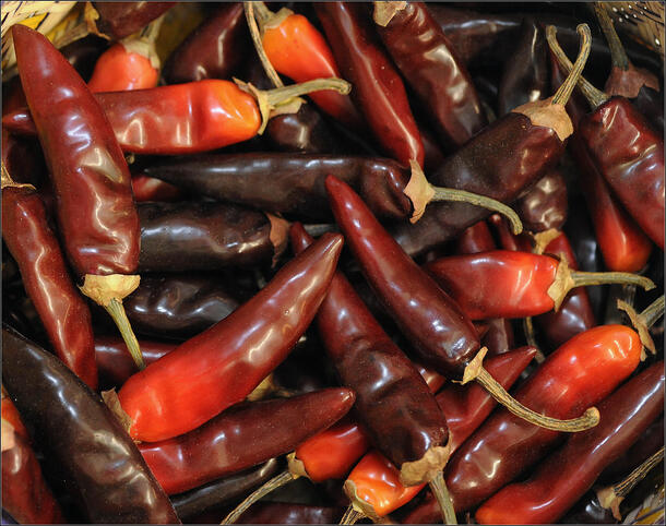 Chile Peppers OGK