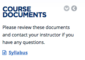 course documents: syllabus
