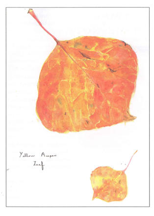 yellowaspenleaf