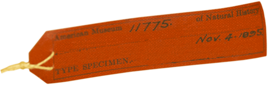 a red specimen tag