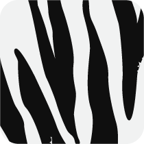 zebra pattern