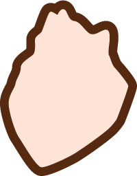 Backplate 3