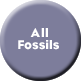 all fossils