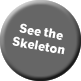 See skeleton