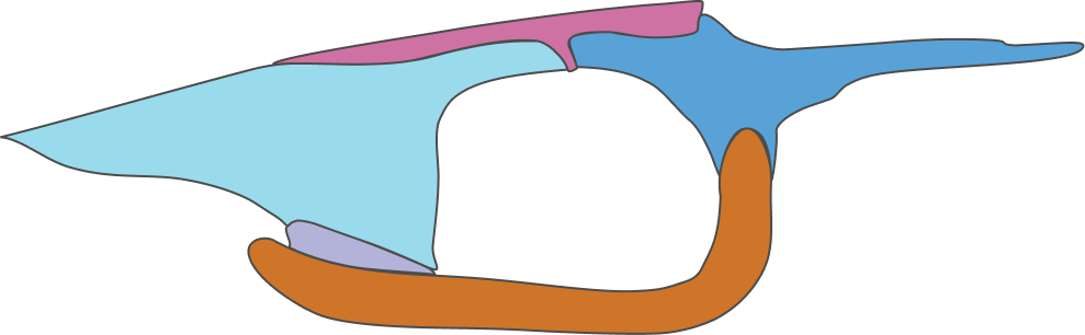 Circumorbital