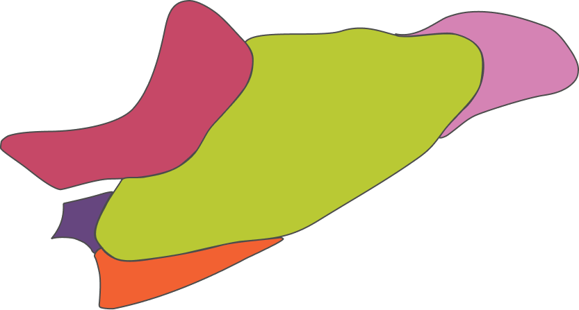 Posterior Mandible