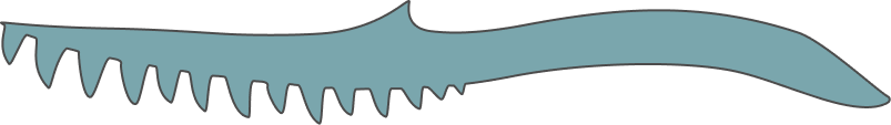 Pterygoid
