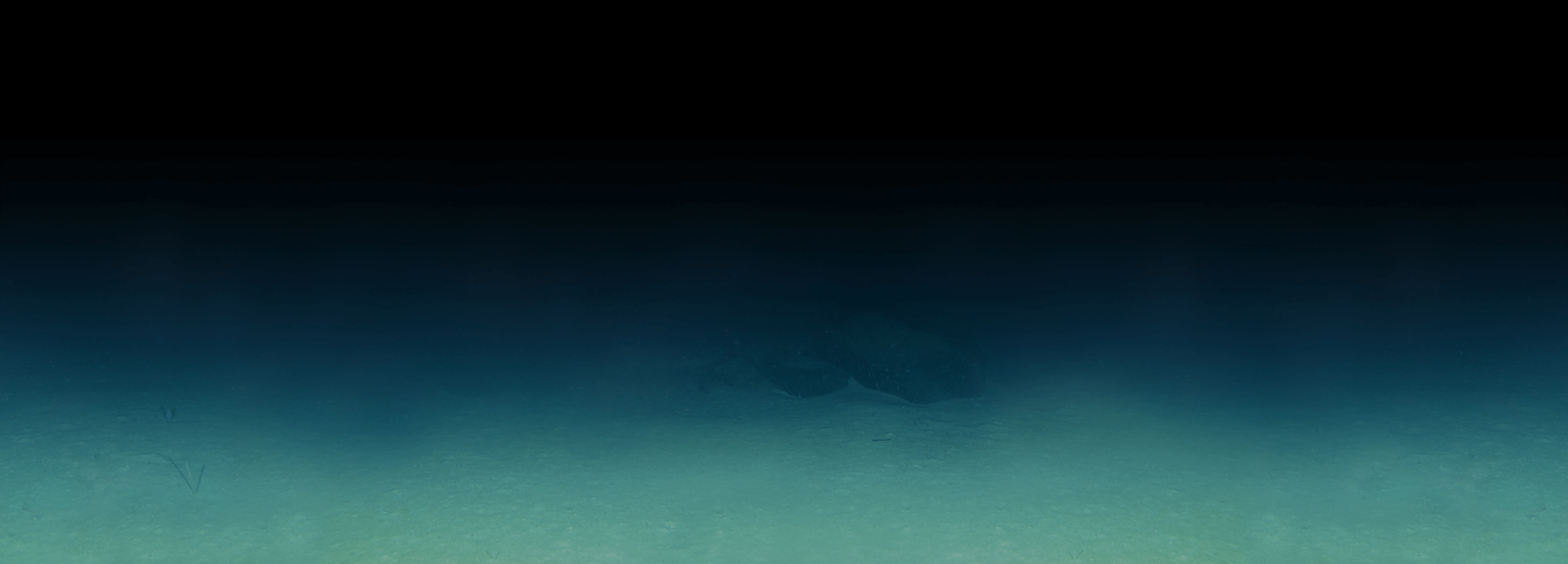 BKGD_BTM_FADE