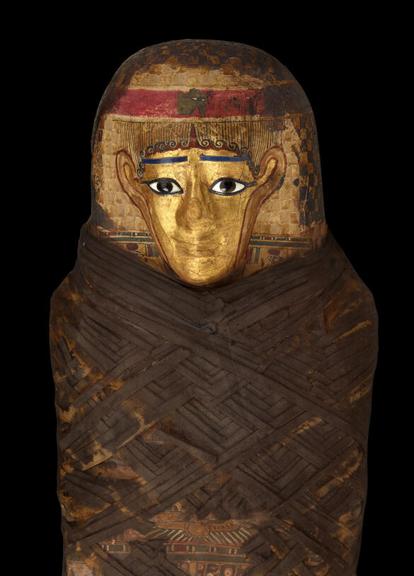 The Gilded Lady - a well-preserved mummy from Egypt - on display at the American Museum of Natural History