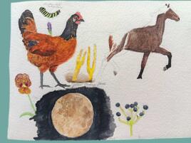 journal page with illustrations a rooster, a horse, a caterpillar, various plants, and a full moon