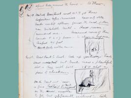 journal page with notes and simple line drawing of rabbit done in black ink