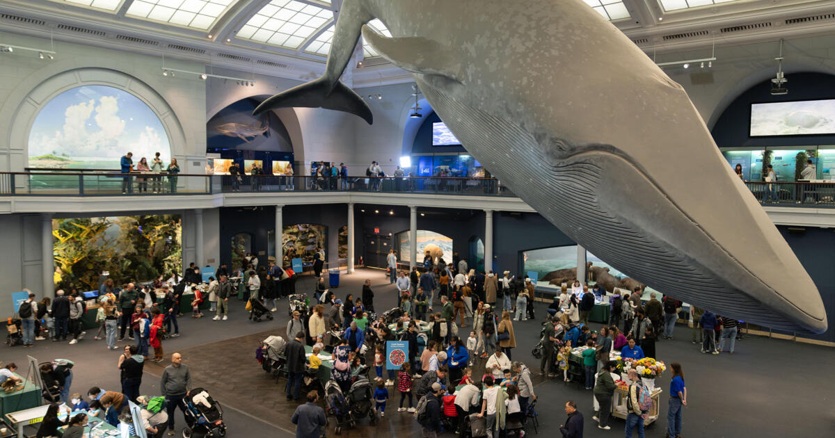 ClimateFest | AMNH