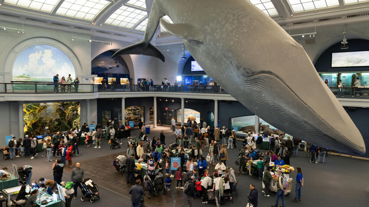 ClimateFest | AMNH