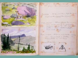 journal spread with water color nature scenes on the left page and handwritten notes in script on the right page along with ink drawing of various insects