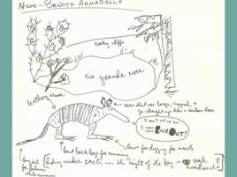 journal page with pen drawing of a nine-banded armadillo with labeling and notes