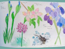 journal page of water color illustrations of various flowers